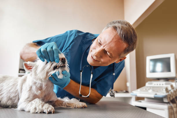 Best Emergency Tooth Extraction in Wellington, TX
